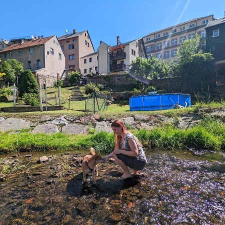 Urlaubstraum Mit Pool, Terrasse & Fluss Im Garten - Ut Appartamento Sebnitz Esterno foto
