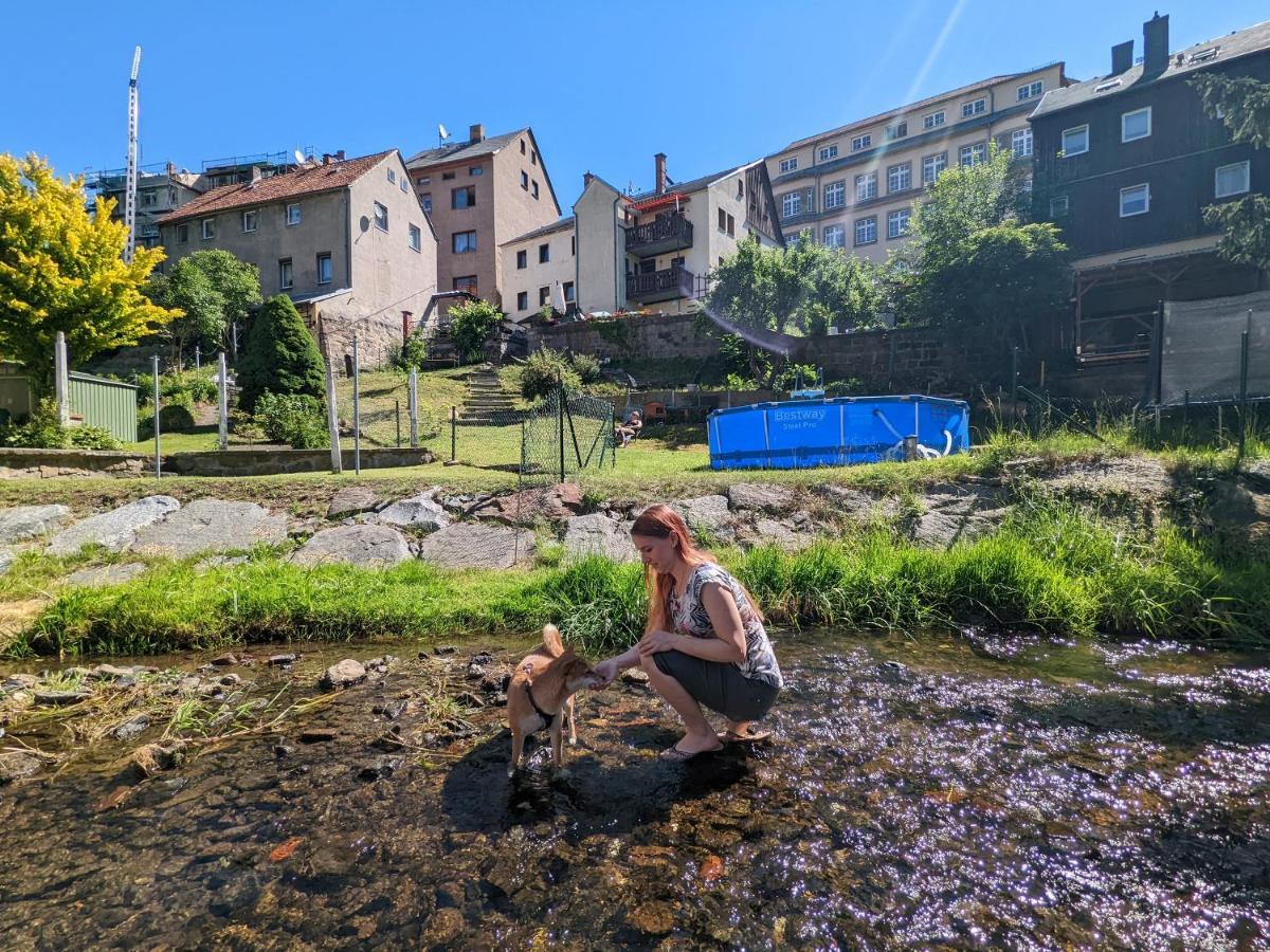 Urlaubstraum Mit Pool, Terrasse & Fluss Im Garten - Ut Appartamento Sebnitz Esterno foto