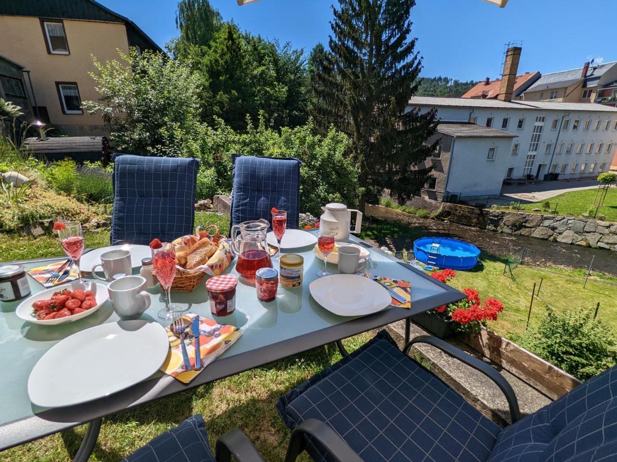 Urlaubstraum Mit Pool, Terrasse & Fluss Im Garten - Ut Appartamento Sebnitz Esterno foto